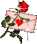 Envellope rose